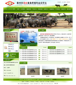 ̩���ГP(y��ng)�������B(y��ng)ֳ���I(y��)������